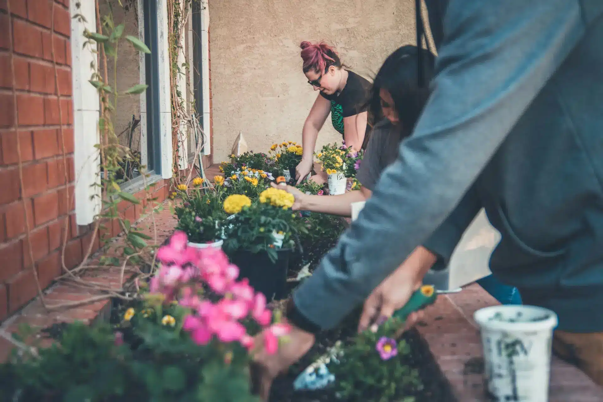 Several People Gardening together